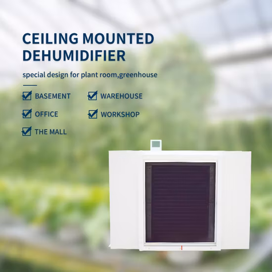 Промышленная машина для сушки воздуха Коммерческий потолочный осушитель для теплицы
